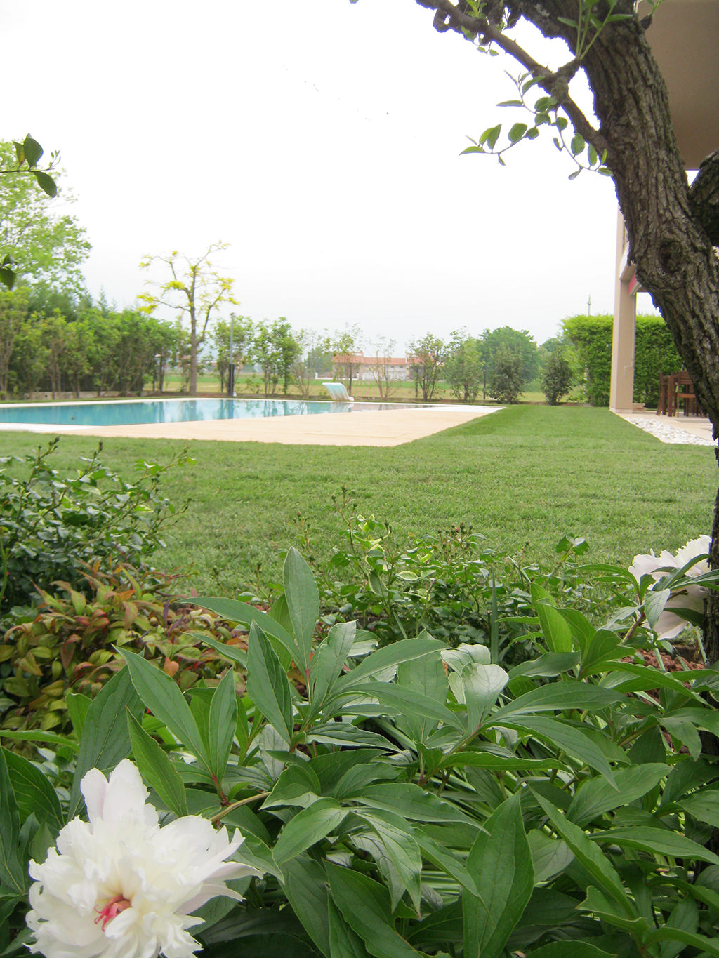 Immagine realizzazione di un giardino con piscina