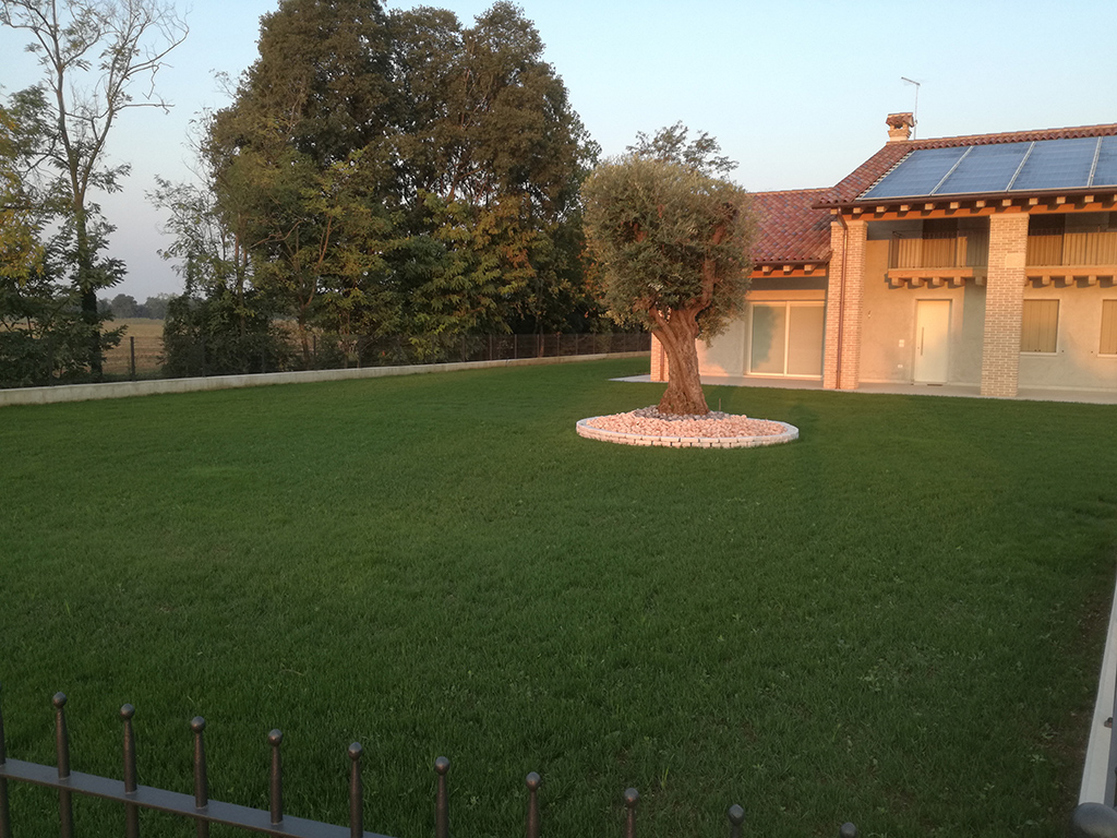 Immagine realizzazione giardino con irrigazione e semina prato in provincia di Treviso