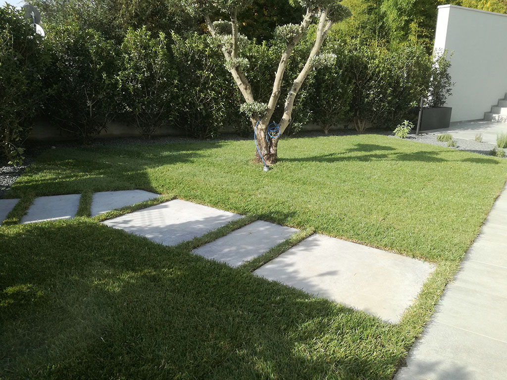 foto realizzazione siepe e prato a rotoli per un giardino a cornuda foto 10