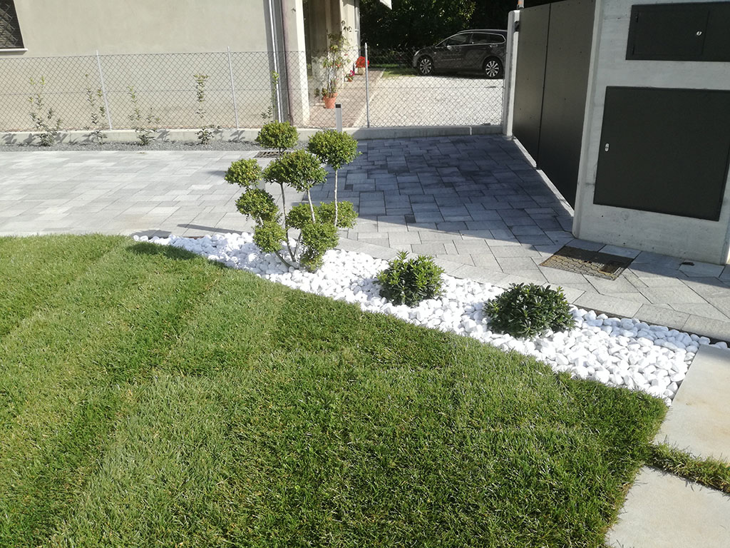 foto realizzazione siepe e prato a rotoli per un giardino a cornuda foto 12