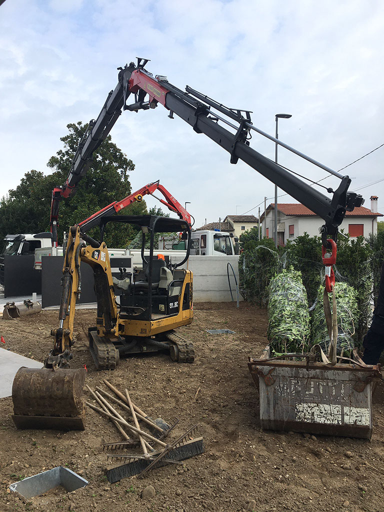foto realizzazione siepe e prato a rotoli per un giardino a cornuda foto 5