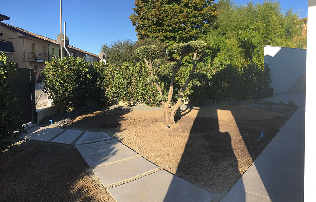foto realizzazione siepe e prato a rotoli per un giardino a cornuda foto 7