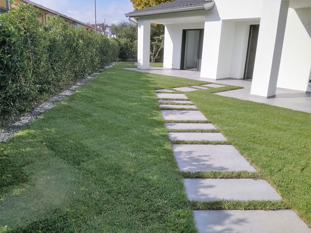 foto realizzazione siepe e prato a rotoli per un giardino a cornuda foto 8