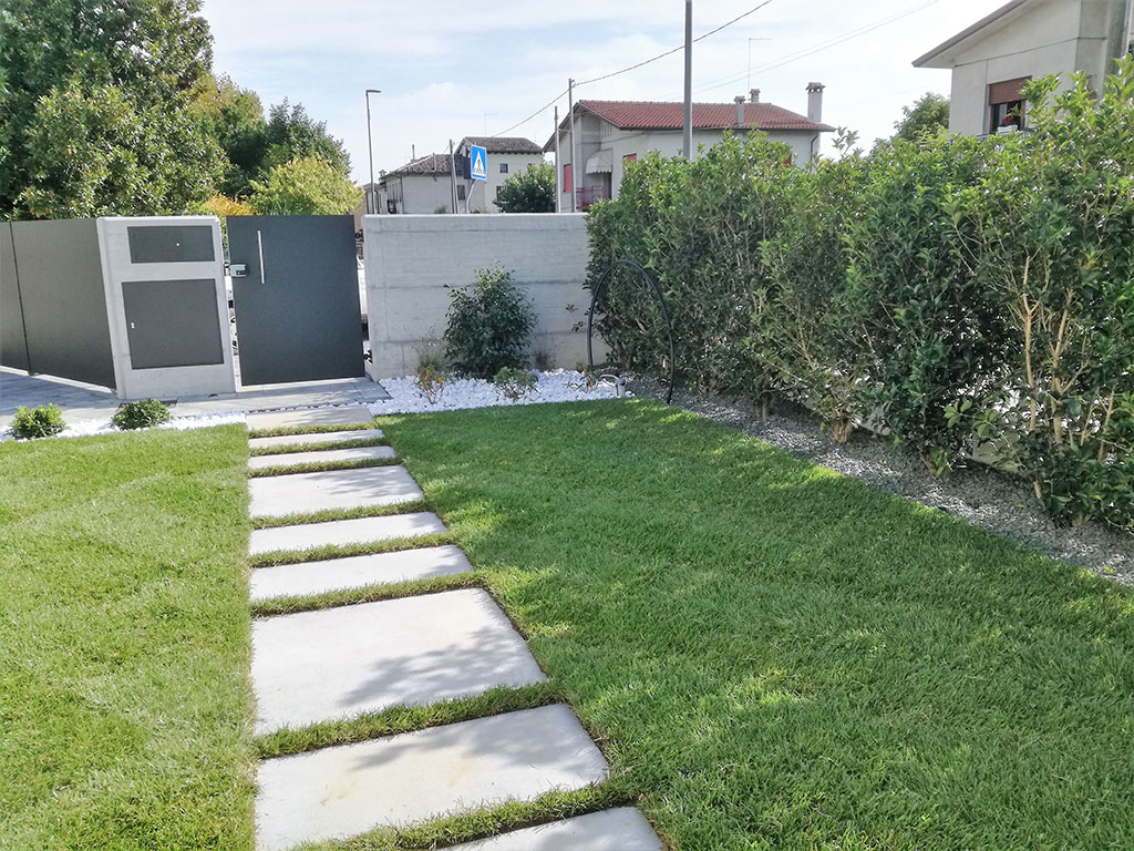 foto realizzazione siepe e prato a rotoli per un giardino a cornuda foto 9