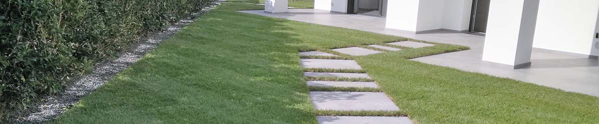 anteprima realizzazione siepe e prato a rotoli per un giardino a cornuda