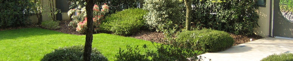 progetto giardino privato con aiuole fiorite